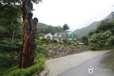 펜션포유 - 강원특별자치도 인제군 - 가볼만한곳 - 관광지랭킹