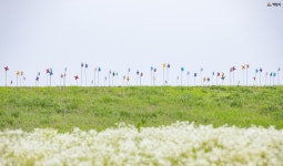 웅포캠핑장에서 즐기는 익산투어 - 전북특별자치도 익산시 - 가볼만한곳 - 관광지랭킹