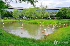 순천만국제습지센터 - 전라남도 순천시 - 가볼만한곳 - 관광지랭킹