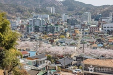 공마당둘레길 관광 정보와 주변 관광 명소 및 근처 맛집 여행 정보