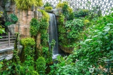 거제식물원 관광 정보와 주변 관광 명소 및 근처 맛집 여행 정보