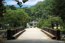 세조길 (2026) - 충청북도 보은군 가볼만한곳 - 관광지랭킹