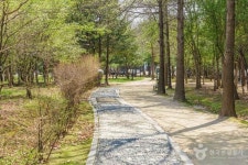 대화농업체험공원 관광 정보와 주변 관광 명소 및 근처 맛집 여행 정보