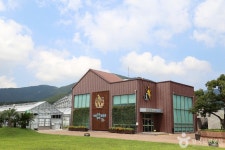 거제곤충생태박물관 - 경상남도 거제시 - 가볼만한곳 - 관광지랭킹