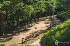 진밭골산림공원 (2026) - 대구광역시 수성구 가볼만한곳 - 관광지랭킹