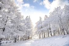 만항재 관광 정보와 주변 관광 명소 및 근처 맛집 여행 정보