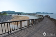 해안 따라 보물이 가득한 무안 낙지길을 걷자. - 전라남도 무안군 - 가볼만한곳 - 관광지랭킹