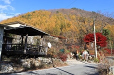 캠핑494 - 강원도 평창군 - 가볼만한곳 - 관광지랭킹