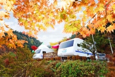 남이섬베스트캠핑장 (2026) - 경기도 가평군 가볼만한곳 - 관광지랭킹