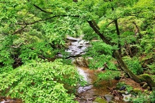 덕동계곡 - 충청북도 제천시 - 가볼만한곳 - 관광지랭킹