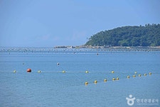 금갑해변 (2026) - 전남광주통합특별시 진도군 가볼만한곳 - 관광지랭킹