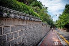 해운대 달맞이길 (2026) - 부산광역시 해운대구 가볼만한곳 - 관광지랭킹