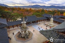 경주 불국사 [유네스코 세계유산] 관광 정보와 주변 관광 명소 및 근처 맛집 여행 정보