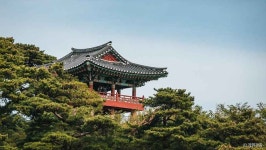 봉포김여사카페 (2026) - 강원특별자치도 고성군 가볼만한곳 - 관광지랭킹