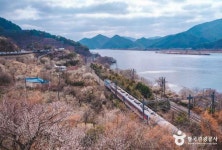 가야진사 (2026) - 경상남도 양산시 가볼만한곳 - 관광지랭킹