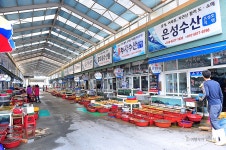 모항항수산물직판장 - 충청남도 태안군 - 가볼만한곳 - 관광지랭킹