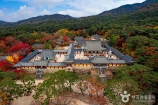 경주 불국사 [유네스코 세계유산] 관광 정보와 주변 관광 명소 및 근처 맛집 여행 정보
