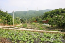 연곡저수지 - 충청북도 진천군 - 가볼만한곳 - 관광지랭킹