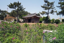 북평민속시장 5일장(3, 8일) - 강원특별자치도 동해시 - 가볼만한곳 - 관광지랭킹