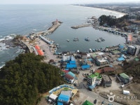 남애항 (2026) - 강원특별자치도 양양군 가볼만한곳 - 관광지랭킹