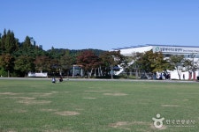 평화잔디광장 - 서울특별시 마포구 - 가볼만한곳 - 관광지랭킹