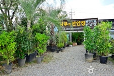 상무화훼단지 - 광주광역시 서구 - 가볼만한곳 - 관광지랭킹