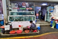 진동시장 - 경상남도 창원시 마산합포구 - 가볼만한곳 - 관광지랭킹