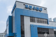 오션수영장 레저스포츠 정보와 주변 관광 명소 및 근처 맛집 여행 정보