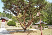 논개사당 관광 정보와 주변 관광 명소 및 근처 맛집 여행 정보