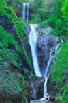 Bongnaepokpo Falls [Ullengdo & Dokdo National Geopark] (봉래폭포 (울릉도, 독도 국가지질공원)) - 관광지랭킹