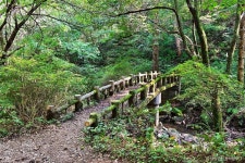천마산 시립공원 관광 정보와 주변 관광 명소 및 근처 맛집 여행 정보