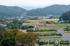 모암마을 (2026) - 전라남도 장성군 가볼만한곳 - 관광지랭킹