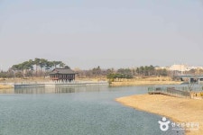 누닝 펫푸드카페 (2026) - 인천광역시 서해구 가볼만한곳 - 관광지랭킹
