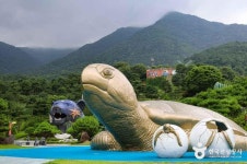 네이버 검색 결과 사진 6
