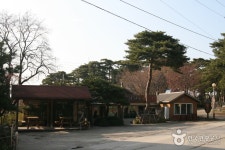 Chodang Dubu Village (초당두부마을) - 관광지랭킹