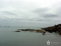 고사포해수욕장 - 캠프위크