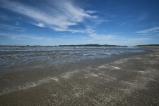 매화둠벙마을영농조합법인 - 충청남도 태안군 - 가볼만한곳 - 관광지랭킹