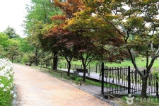 황학산수목원 - 경기도 여주시 - 가볼만한곳 - 관광지랭킹