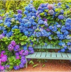 팜카밀레 - 충청남도 태안군 - 가볼만한곳 - 관광지랭킹