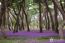 황성공원 관광 정보와 주변 관광 명소 및 근처 맛집 여행 정보