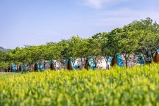 정원워케이션 레저스포츠 정보와 주변 관광 명소 및 근처 맛집 여행 정보