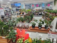 롯데마트 안산점 쇼핑 정보와 주변 관광 명소 및 근처 맛집 여행 정보