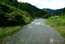 곡선계곡 두꺼비민박야영장 - 캠프위크