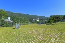 네이버 검색 결과 사진 4