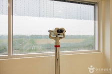 [DMZ 평화의 길] 장항습지생태 코스 레저스포츠 정보와 주변 관광 명소 및 근처 맛집 여행 정보