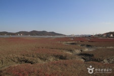 [강화 나들길 제6코스] 화남생가 가는 길 - 인천광역시 강화군 - 가볼만한곳 - 관광지랭킹