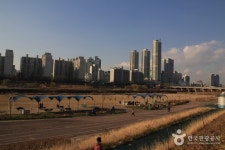 안양천 - 캠프위크