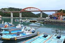 신지도.고금도.약산도(바다낚시) (2026) - 전라남도 완도군 - 가볼만한곳 - 관광지랭킹