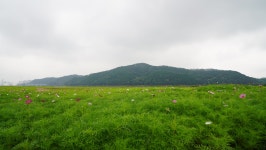 기흥호수공원 - 경기도 용인시 기흥구 - 가볼만한곳 - 관광지랭킹