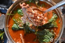 고향나들이 (2026) - 경기도 포천시 가볼만한곳 - 관광지랭킹